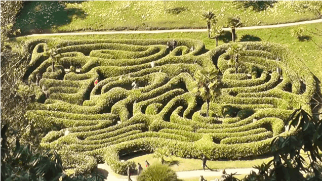 Crazy, fun corn mazes.