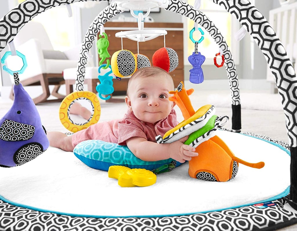 Fisher-Price Jonathan Adler Sensory Gym