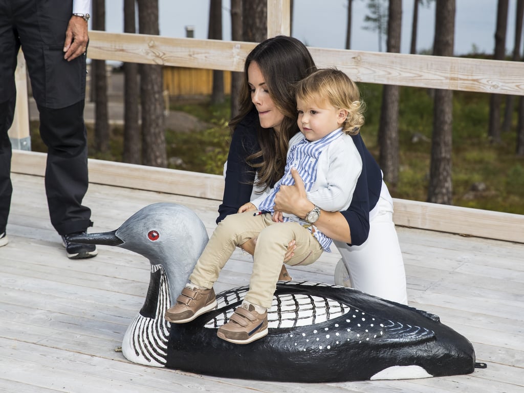 Prince Alexander's First Royal Engagement Pictures 2018