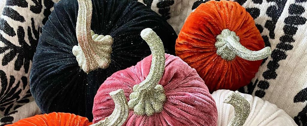 Velvet Halloween Pumpkins at HomeGoods | 2020