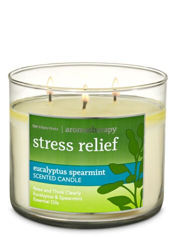 Bath Body Works Eucalyptus Spearmint 3 Wick Candle Bath