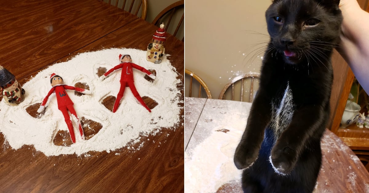 Elf on the shelf outlet cat