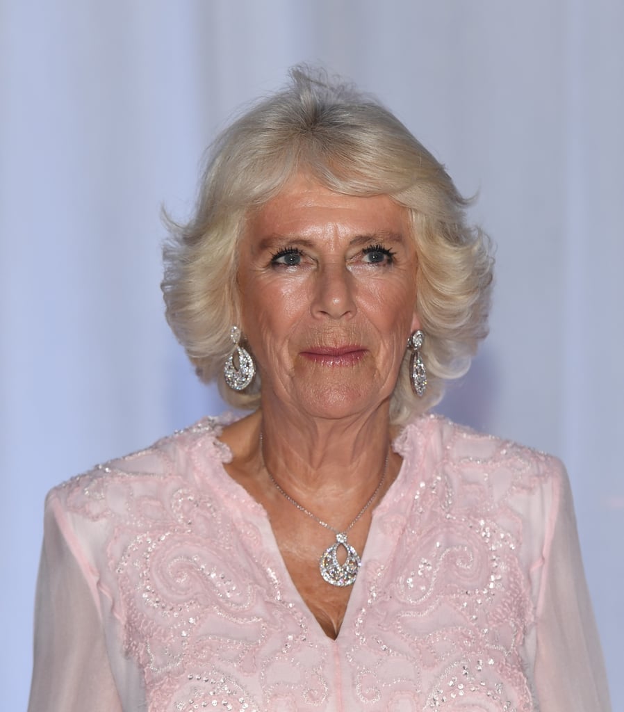 Prince Charles and Duchess Camilla Dancing in Ghana Video
