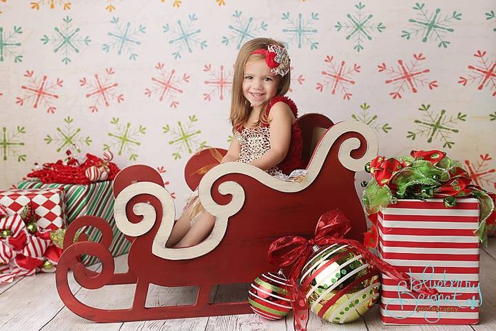 Large Sleigh Photo Prop