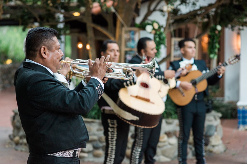 Wildlife Conservation Wedding