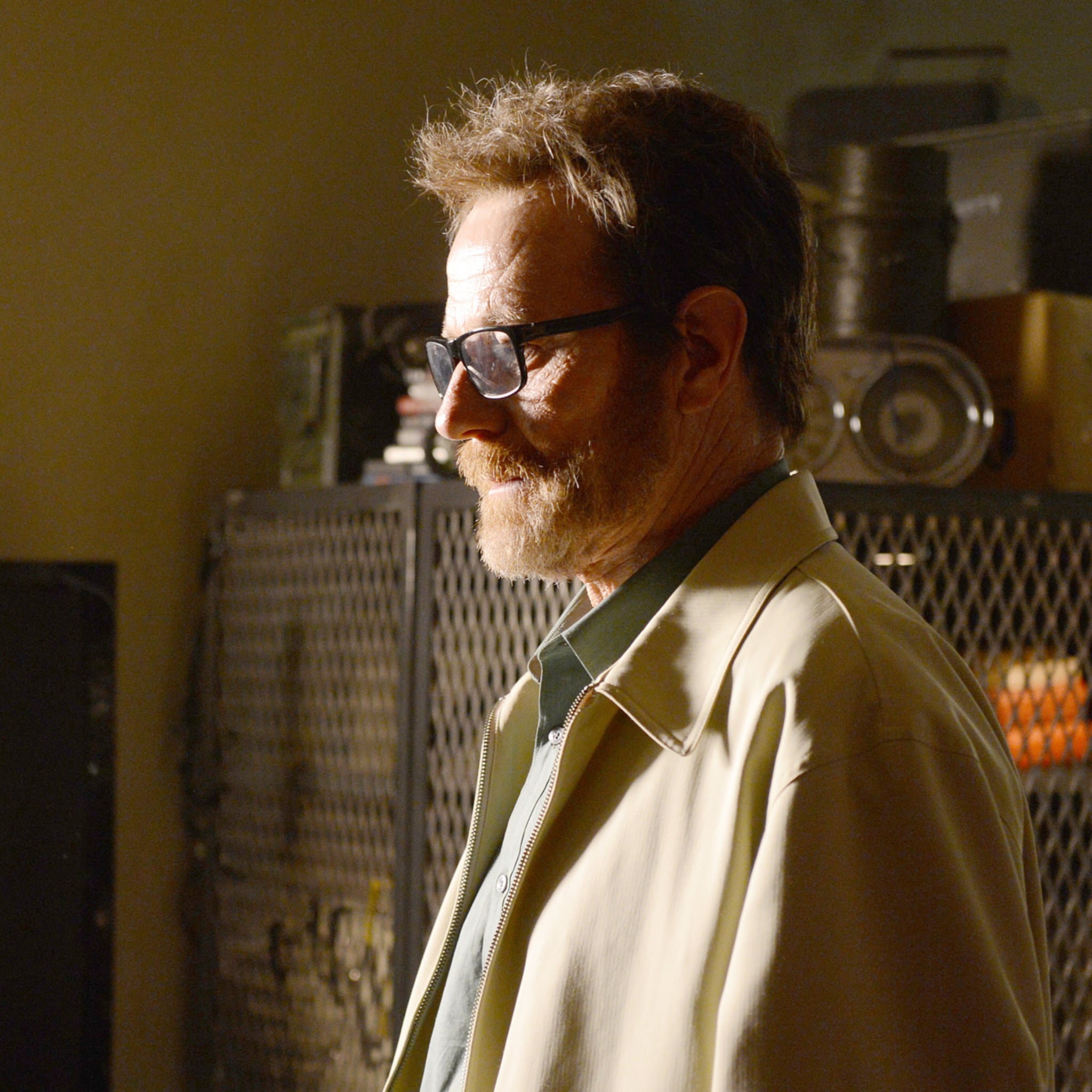 Will Bryan Cranston Be In The Breaking Bad Movie Popsugar