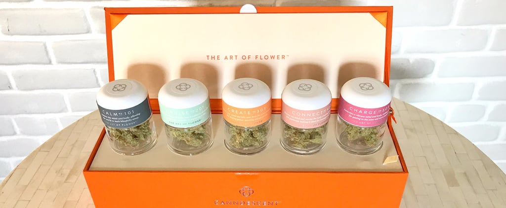 Canndescent Luxury Cannabis Company Review