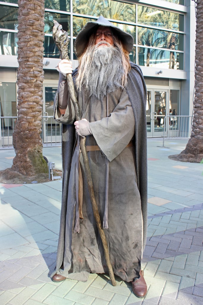 Gandalf the Grey — Lord of the Rings | Best WonderCon Cosplay 2017 ...