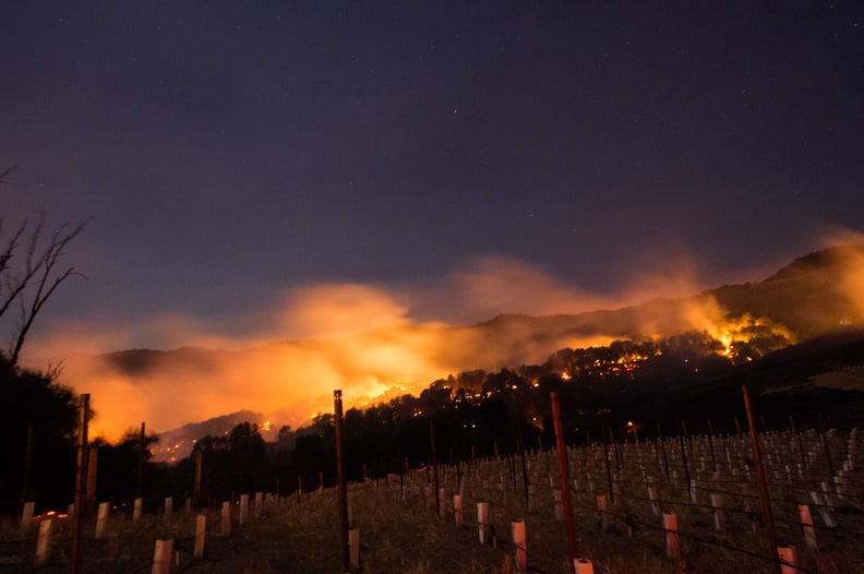 Fire is seen over a vineyard hillside.