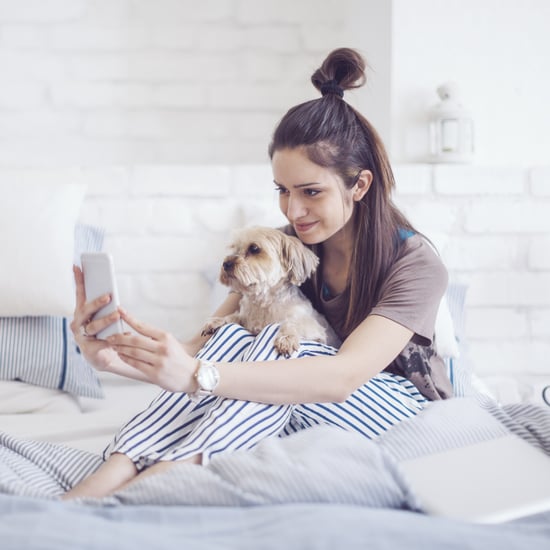 Do Dogs Understand Phone and Video Calls?