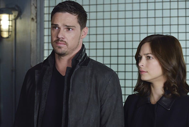 Your Favorite CW Show: Beauty and the Beast