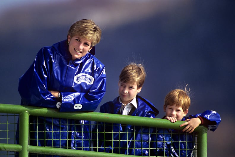 戴安娜王妃在船上1991年威廉王子和哈里王子