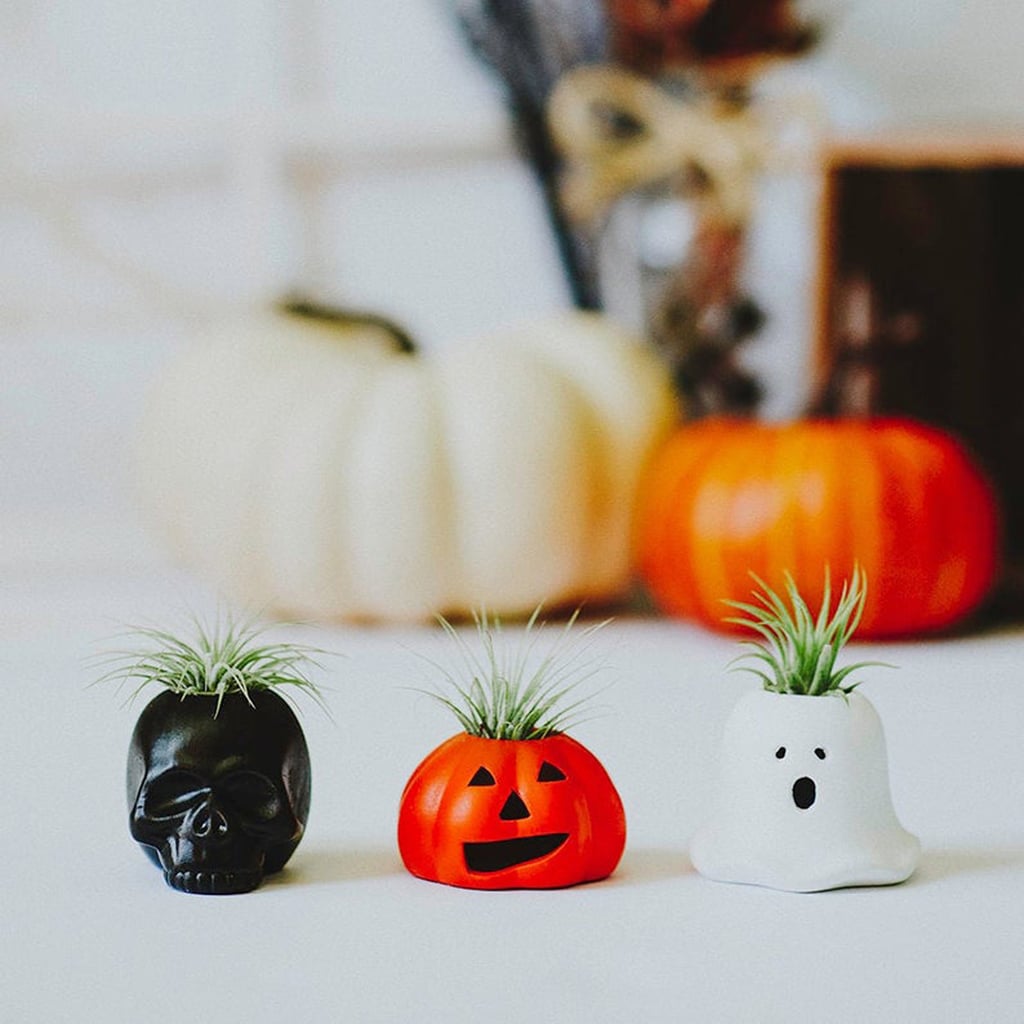 These Planters From Etsy Are the Perfect Halloween Decor