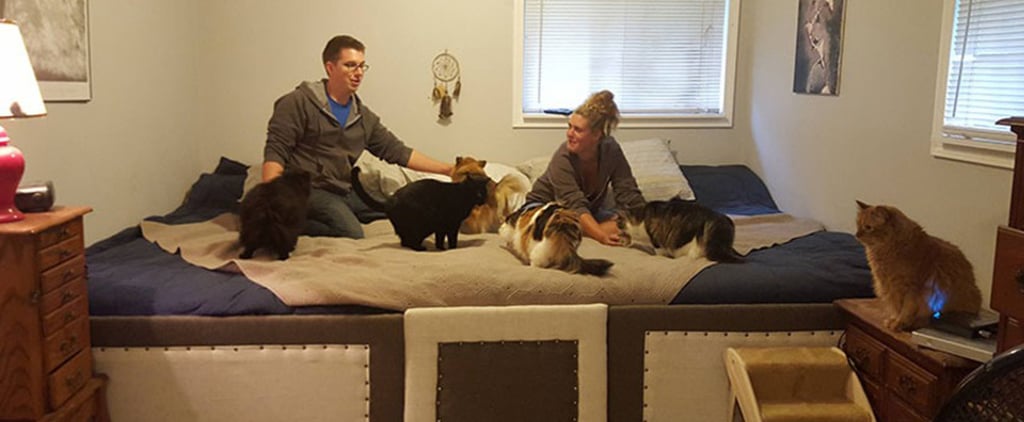 Guy Makes 11-Foot Bed Big Enough For Pets