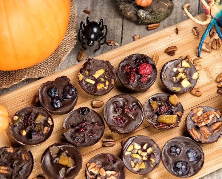 Chocolate Coconut Bites