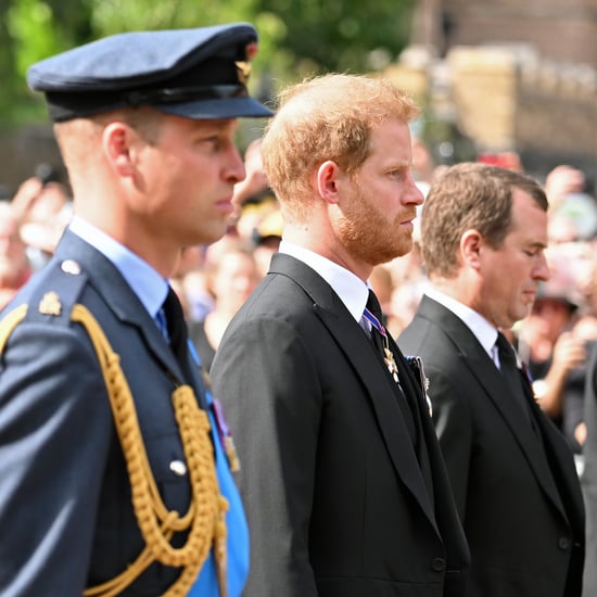 Prince Harry, William at Queen Elizabeth Coffin Procession