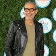 For When Times Are Tough, Here Are 22 Pictures of Jeff Goldblum in a Leather Jacket
