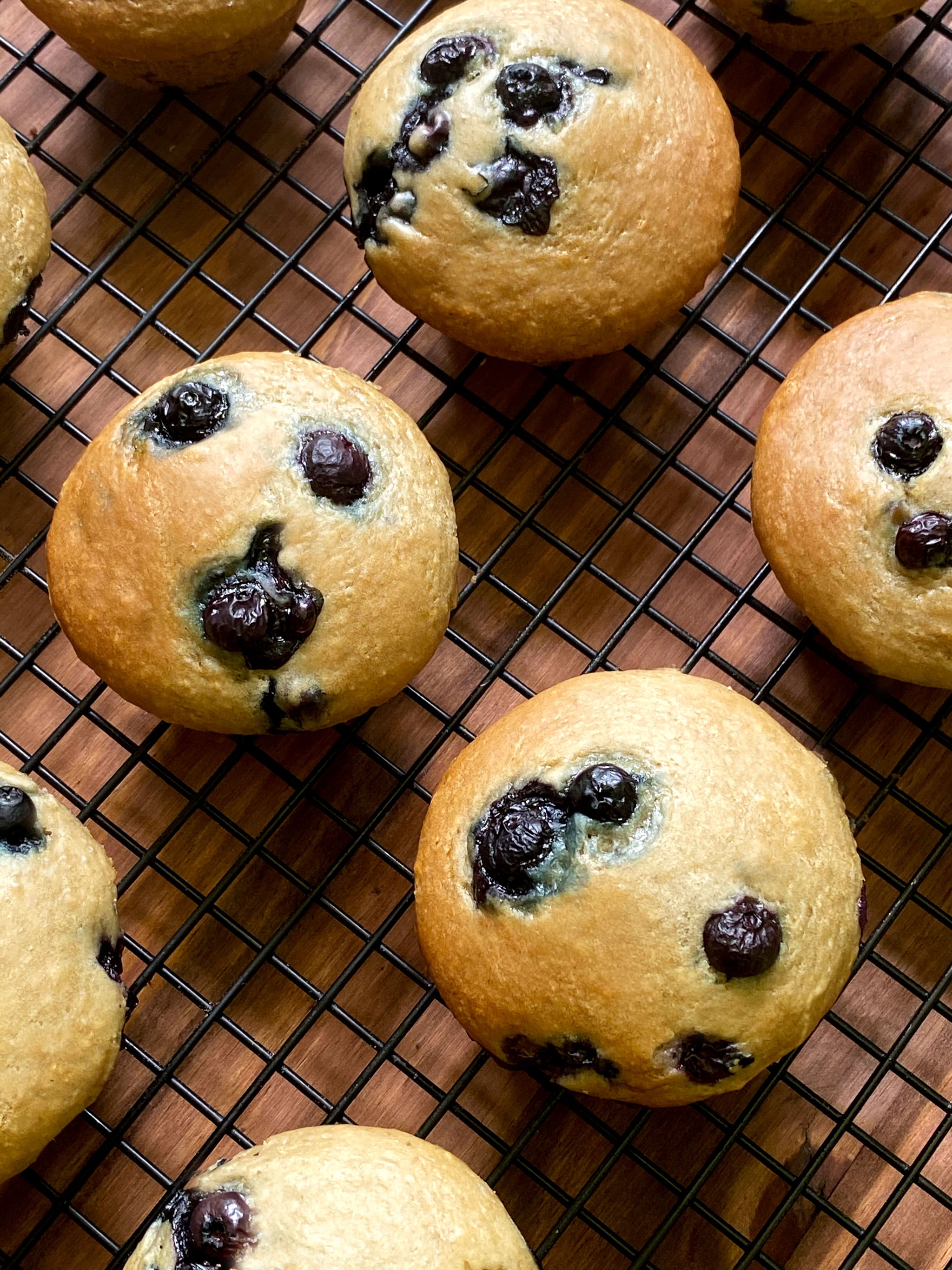 Blueberry Muffins made with Pure Via Stevia - Noshing With the Nolands