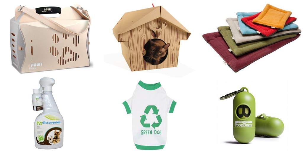 Eco-Friendly Pet Essentials