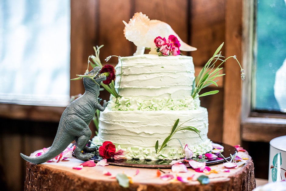 Moonrise Kingdom Cake