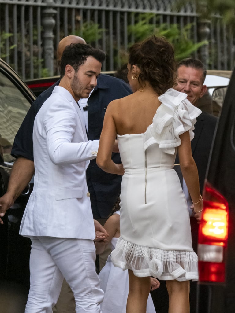 Joe Jonas and Sophie Turner Prewedding Party Pictures