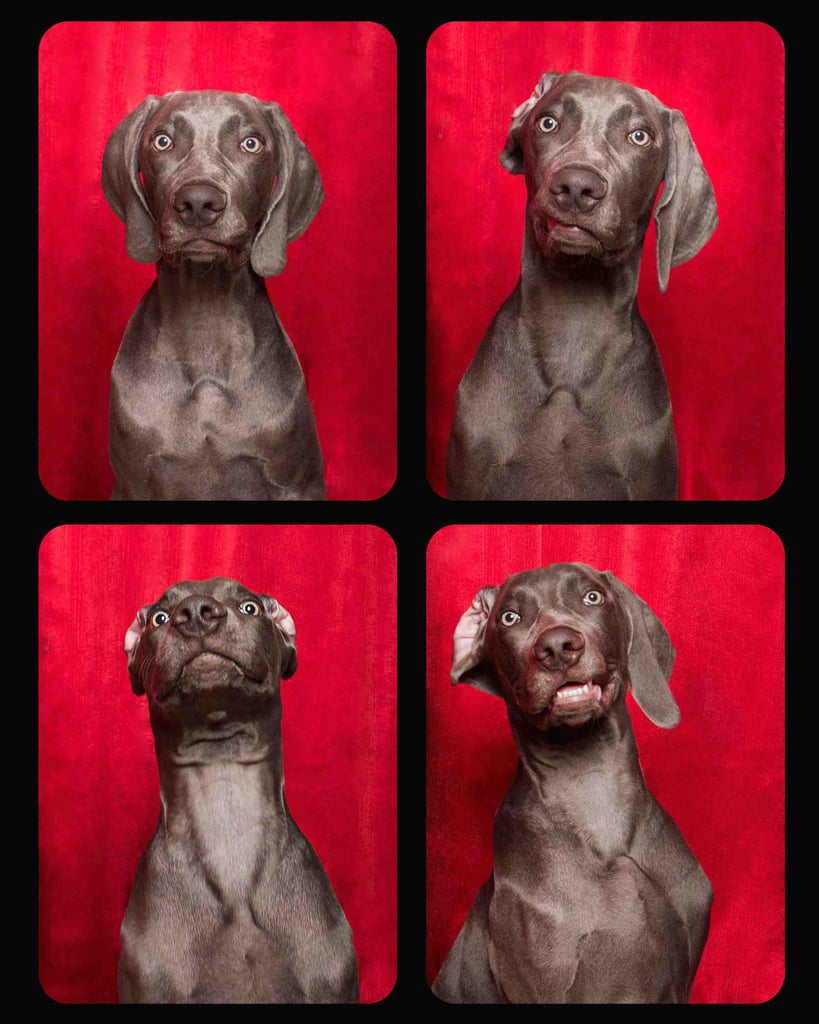 When you're ready for your close-up.