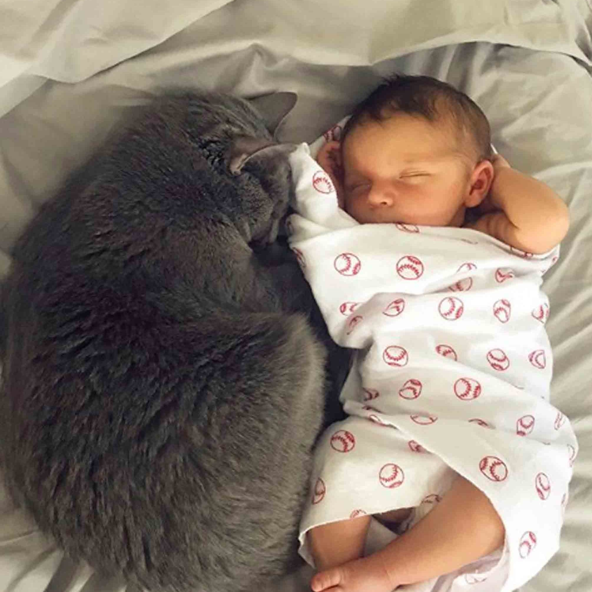 are cats or dogs better with babies