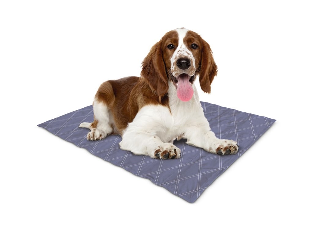 Summer Pet Shopping: Aldi Cooling Mats and Bandanas For Dogs