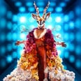 "The Masked Singer" Season 10 Contestants So Far and Who They Might Be