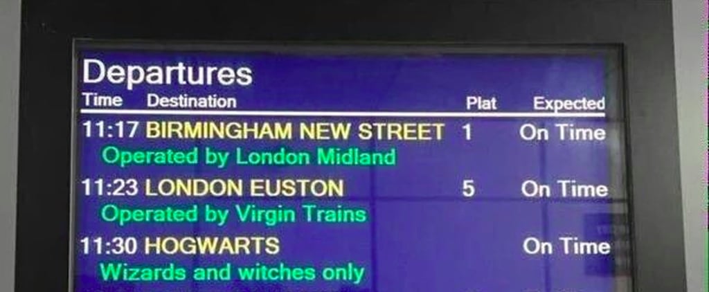 Harry Potter Fans at King's Cross 2017
