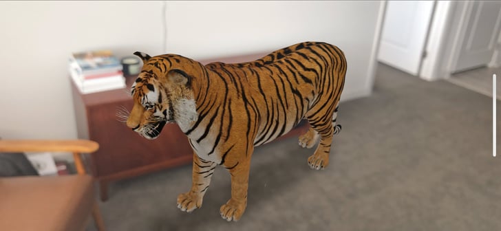 You Can Adjust the Size and Angle of Google's 3D Animal as You Like!