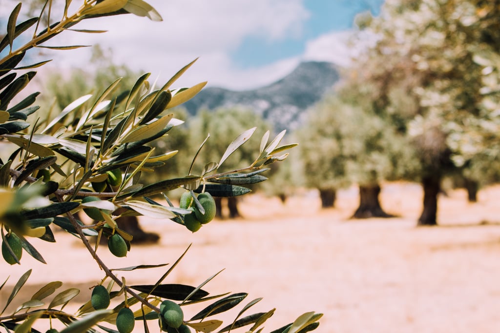 Extend the olive branch. Is the fight really worth it?