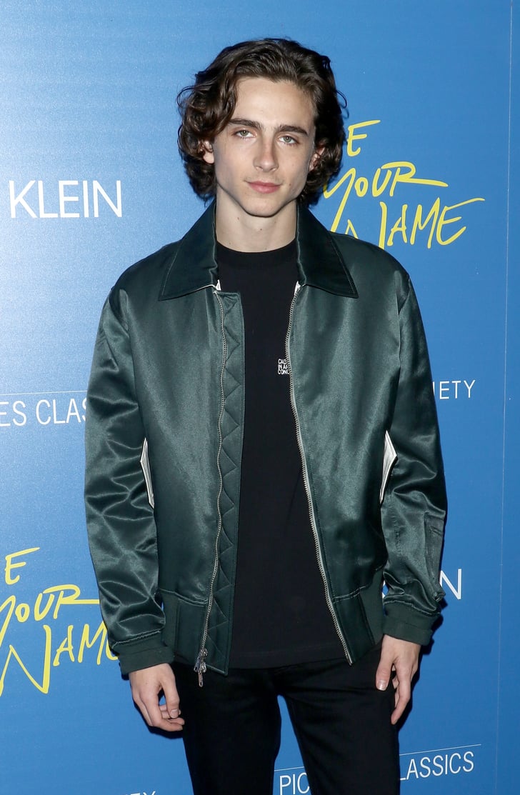 timothée chalamet funko pop