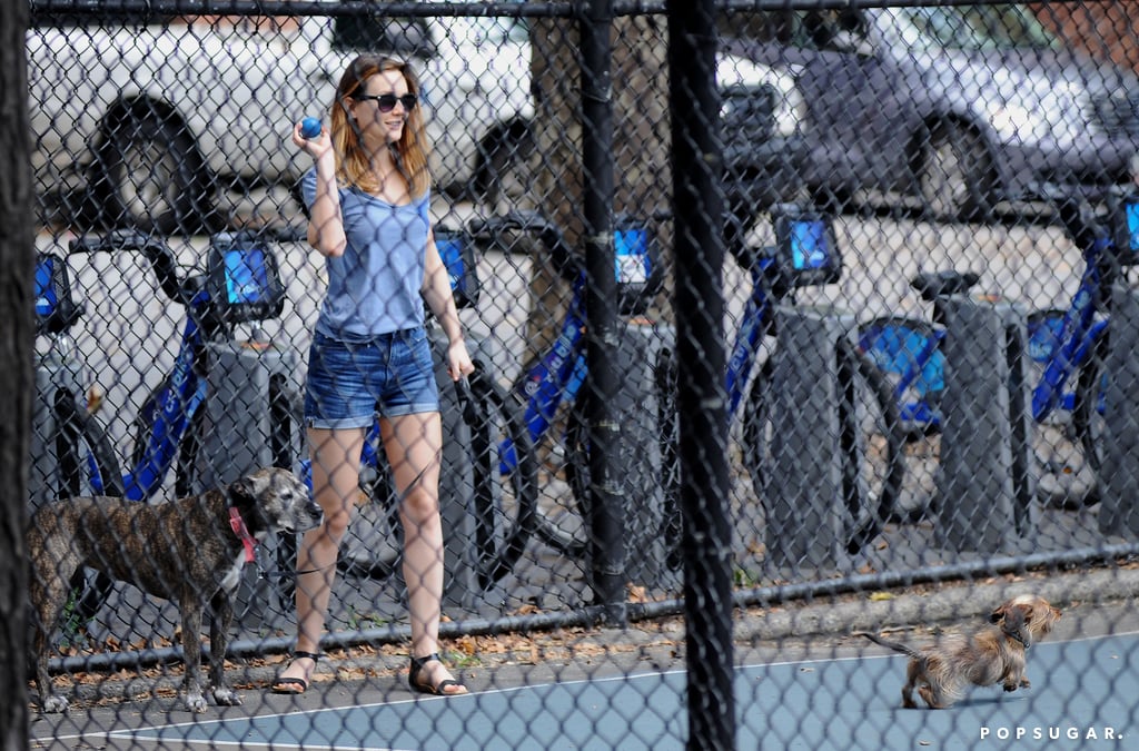 Leighton Meester and Adam Brody Walking Their Dogs in July