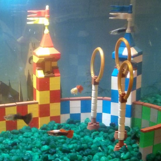 Lego Quidditch Aquarium