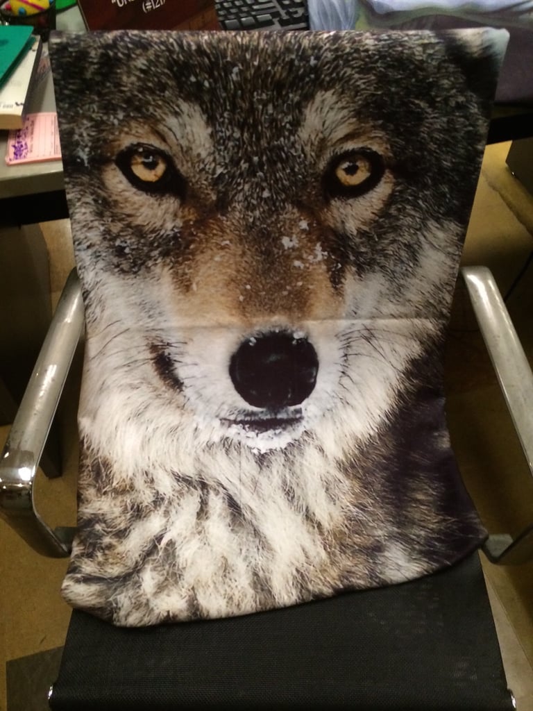 You know you wanted a close-up of Wolfie, Gina's prized possession.