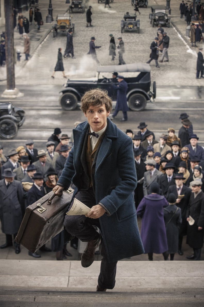 Newt Scamander From Fantastic Beasts and Where to Find Them