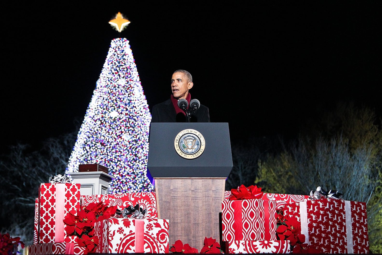 President Obama Last White House Tree Lighting Photos 2016 POPSUGAR