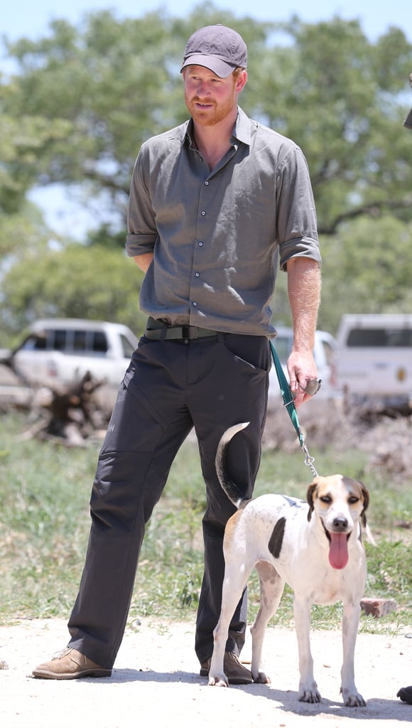 Harry hung out with a ranger tracker dog in South Africa in December 2015.