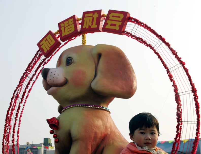 Year of the Dog