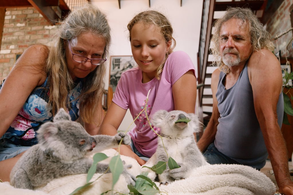 Izzy Bee's Koala World shows how hard it is to care for animals.