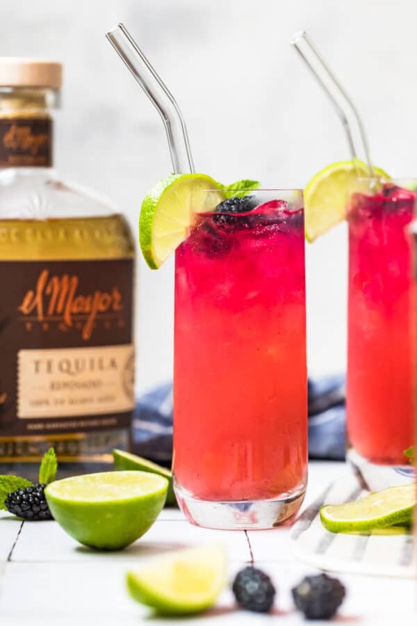 Blackberry Paloma