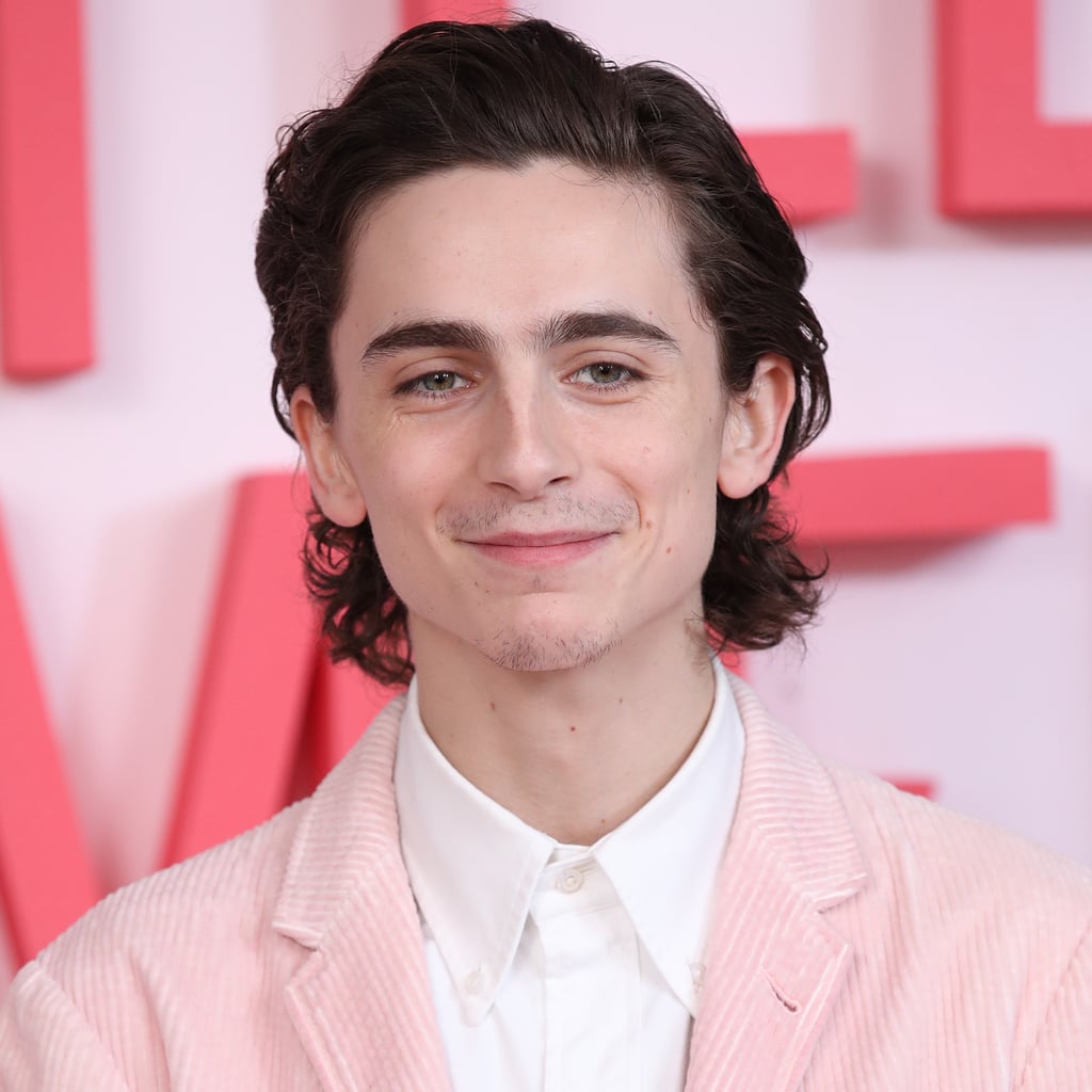 Yes, Timothée Chalamet Is Doing His Own Singing For His Bob Dylan Biopic