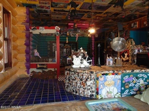Cat House in Arizona