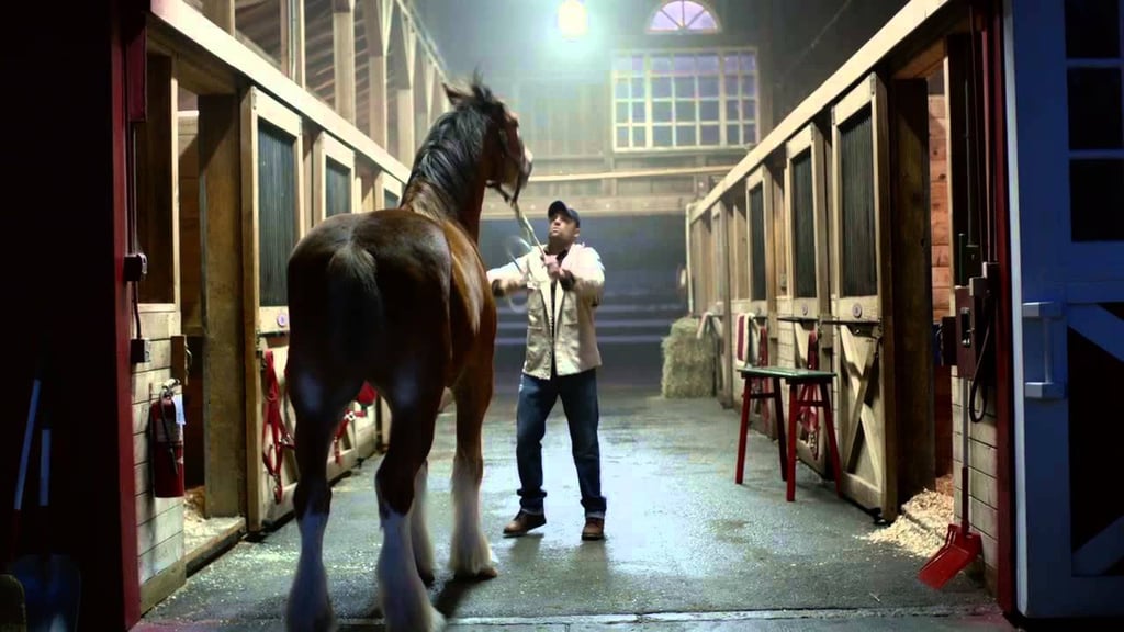 Budweiser: "Lost Dog"