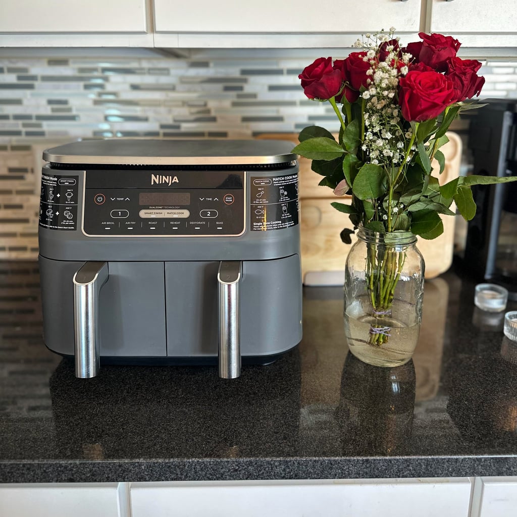 Ninja Foodi DZ201 Air Fryer Review With Photos