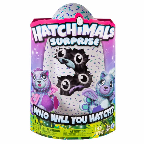 What Are Hatchimals Surprise?