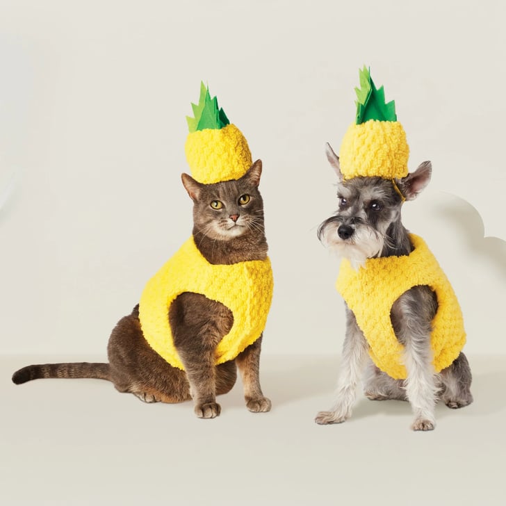Pineapple Dog Costume
 Pineapple Dog Costume
