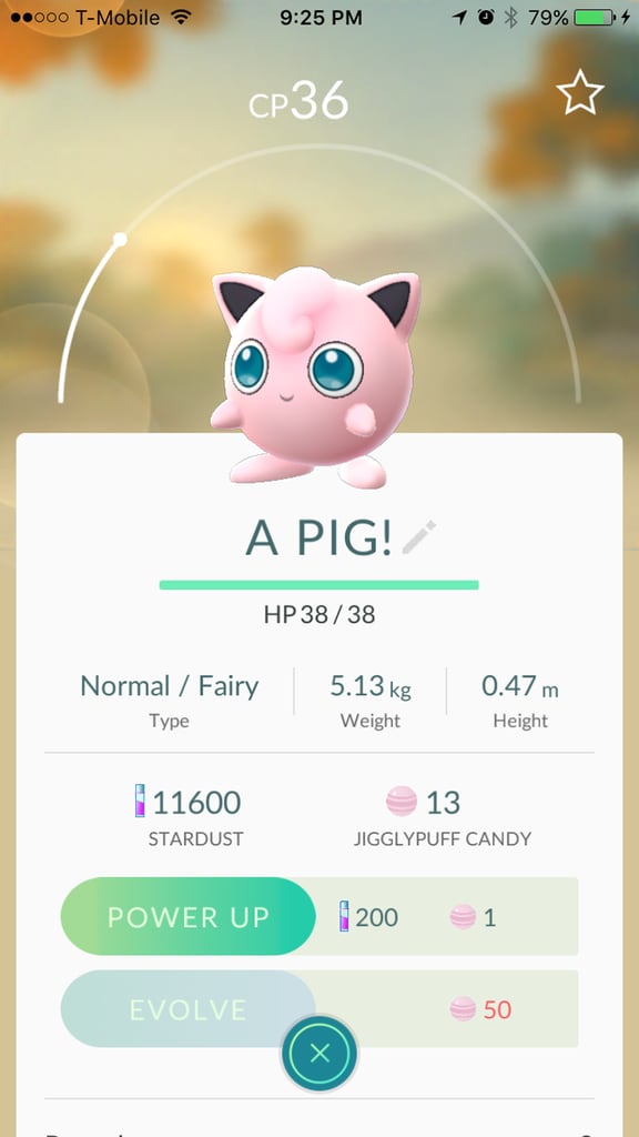 Jigglypuff aka "A PIG!"
