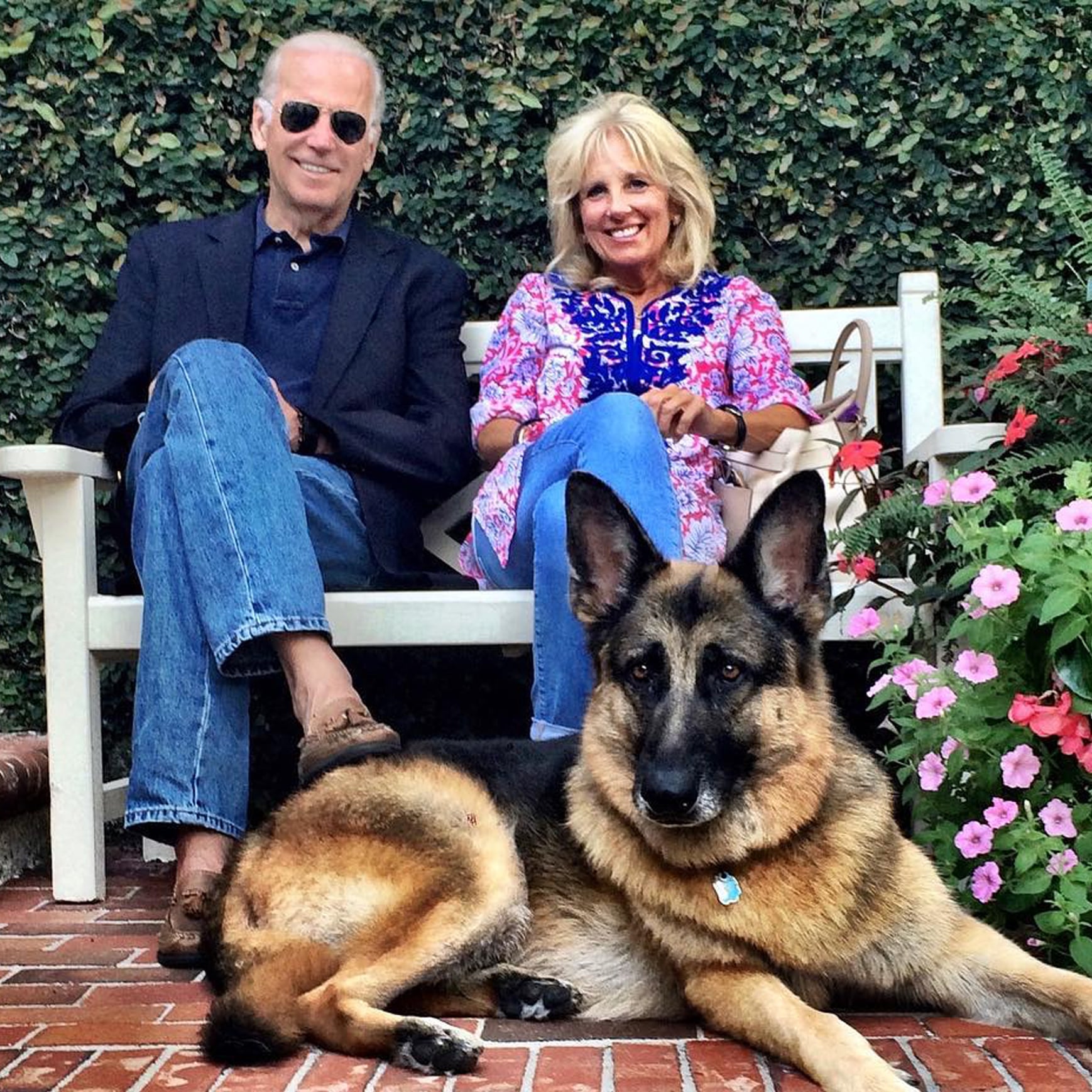 Are Jill and Joe Biden Getting a Cat For the White House? | POPSUGAR Pets